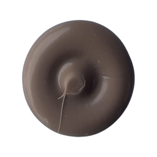 Laticrete Latasil Silikon Chestnut Brown