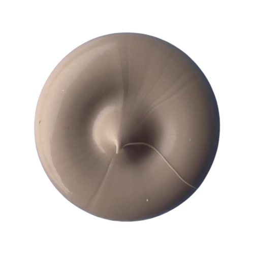 Laticrete Latasil Silikon Sand Beige